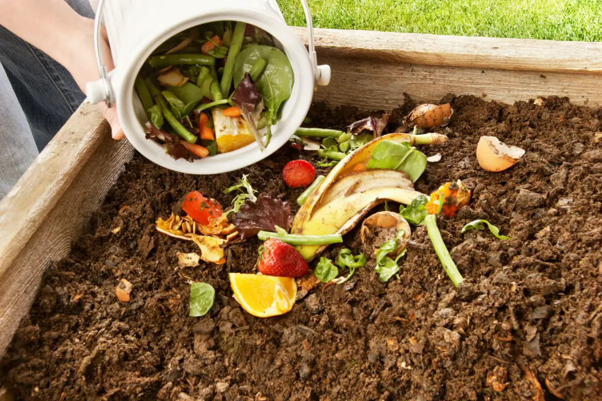 How Long Does It Take To Make Compost?