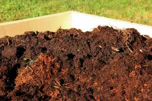 Understanding The Phrases Of Composting ​