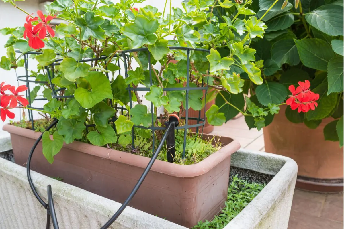 Drip Irrigation Systems